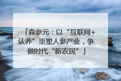 森参元：以“互联网+认养”重塑人参产业，争做时代“新农民”