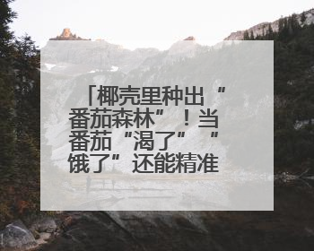 椰壳里种出“番茄森林”！当番茄“渴了”“饿了”还能精准投喂→