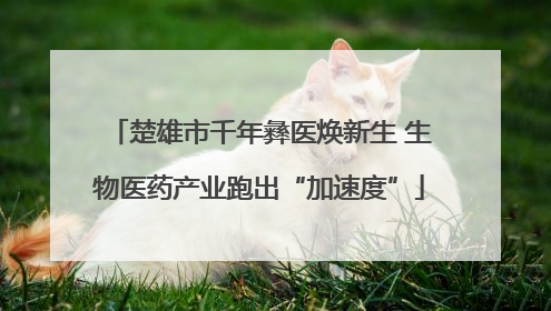 楚雄市千年彝医焕新生 生物医药产业跑出“加速度”