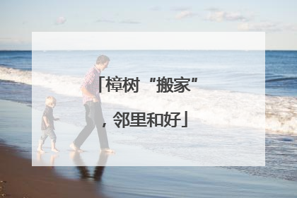 樟树“搬家”，邻里和好
