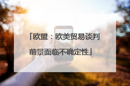欧盟：欧美贸易谈判前景面临不确定性