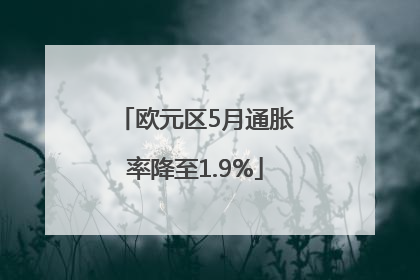 欧元区5月通胀率降至1.9%