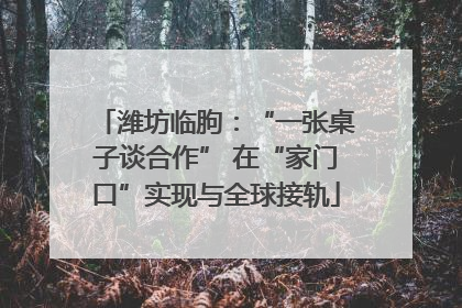潍坊临朐：“一张桌子谈合作” 在“家门口”实现与全球接轨