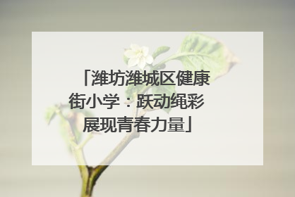 潍坊潍城区健康街小学：跃动绳彩展现青春力量