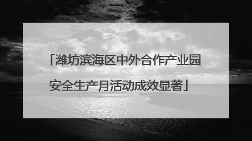 潍坊滨海区中外合作产业园安全生产月活动成效显著
