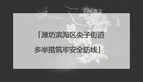 潍坊滨海区央子街道多举措筑牢安全防线