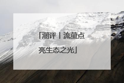 潮评丨流萤点亮生态之光