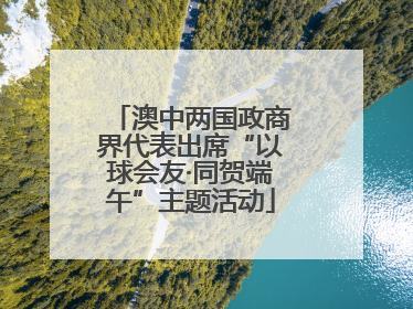 澳中两国政商界代表出席“以球会友·同贺端午”主题活动
