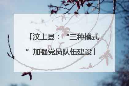 汶上县：“三种模式”加强党员队伍建设