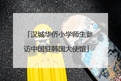 汉城华侨小学师生参访中国驻韩国大使馆