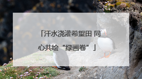 汗水浇灌希望田 同心共绘“绿画卷”