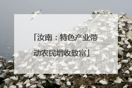 汝南：特色产业带动农民增收致富