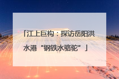 江上巨构：探访岳阳洪水港“钢铁水骆驼”