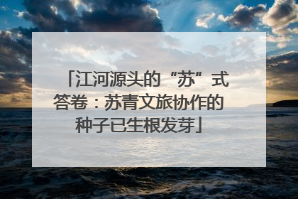 江河源头的“苏”式答卷：苏青文旅协作的种子已生根发芽
