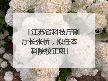 江苏省科技厅副厅长张桥，拟任本科院校正职