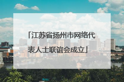 江苏省扬州市网络代表人士联谊会成立
