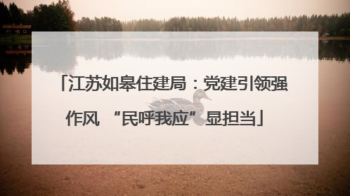 江苏如皋住建局：党建引领强作风 “民呼我应”显担当