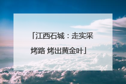 江西石城：走实采烤路 烤出黄金叶