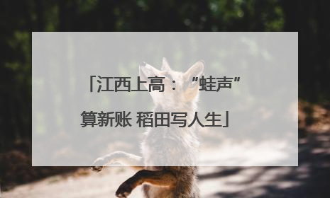 江西上高：“蛙声”算新账 稻田写人生