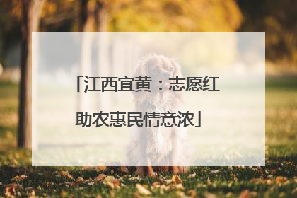 江西宜黄：志愿红助农惠民情意浓