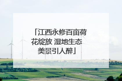 江西永修百亩荷花绽放 湿地生态美景引人醉