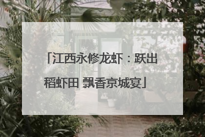 江西永修龙虾：跃出稻虾田 飘香京城宴