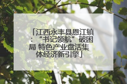 江西永丰县恩江镇：“书记领航”破困局 特色产业盘活集体经济新引擎