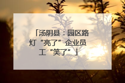汤阴县：园区路灯“亮了”企业员工“笑了”
