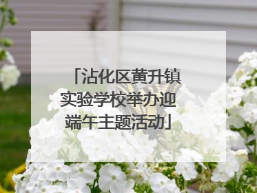 沾化区黄升镇实验学校举办迎端午主题活动