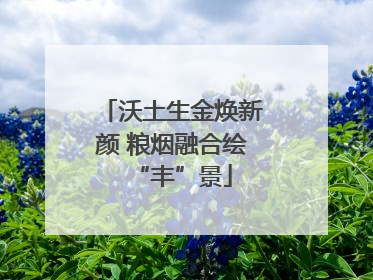 沃土生金焕新颜 粮烟融合绘“丰”景