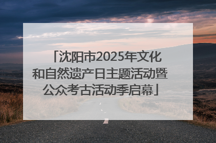 沈阳市2025年文化和自然遗产日主题活动暨公众考古活动季启幕