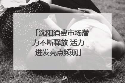 沈阳消费市场潜力不断释放 活力迸发亮点频现