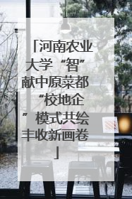 河南农业大学“智”献中原菜都 “校地企”模式共绘丰收新画卷