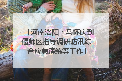 河南洛阳：马怀庆到偃师区指导调研防汛综合应急演练等工作