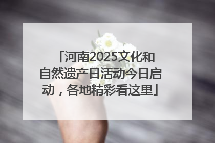 河南2025文化和自然遗产日活动今日启动，各地精彩看这里