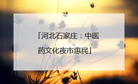 河北石家庄：中医药文化夜市惠民