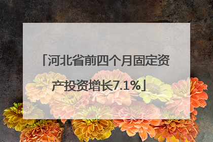 河北省前四个月固定资产投资增长7.1%