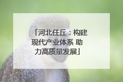 河北任丘：构建现代产业体系 助力高质量发展
