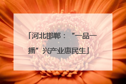 河北邯郸：“一品一播”兴产业惠民生