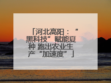河北高阳：“黑科技”赋能夏种 跑出农业生产“加速度”