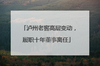 泸州老窖高层变动，履职十年董事离任