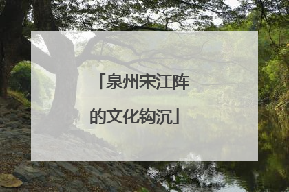 泉州宋江阵的文化钩沉