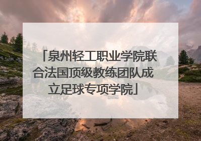 泉州轻工职业学院联合法国顶级教练团队成立足球专项学院