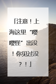 注意！上海这里“嘤嘤怪”出没！你见过没？！