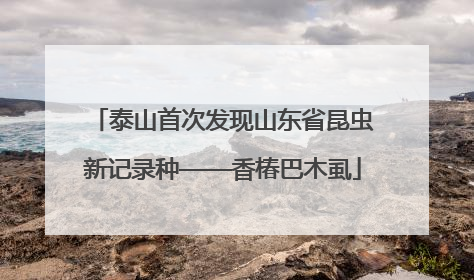 泰山首次发现山东省昆虫新记录种——香椿巴木虱