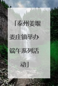 泰州姜堰娄庄镇举办端午系列活动