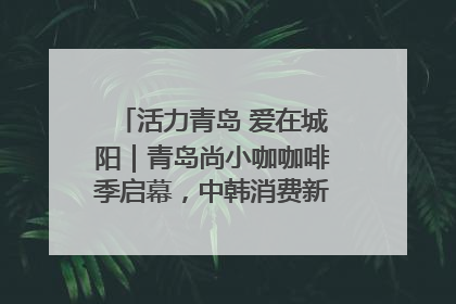 活力青岛 爱在城阳｜青岛尚小咖咖啡季启幕，中韩消费新场景点燃夏日热情
