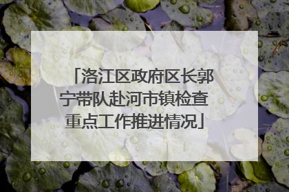 洛江区政府区长郭宁带队赴河市镇检查重点工作推进情况