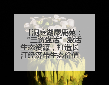 洞庭湖麋鹿苑：“三资盘活”激活生态资源，打造长江经济带生态价值转化新标杆