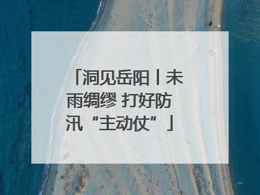 洞见岳阳丨未雨绸缪 打好防汛“主动仗”